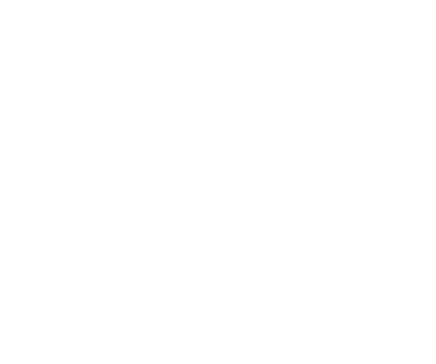 CES Logo White